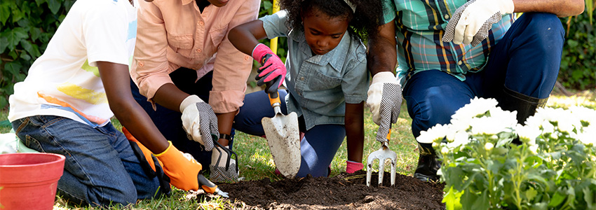 Family Digging